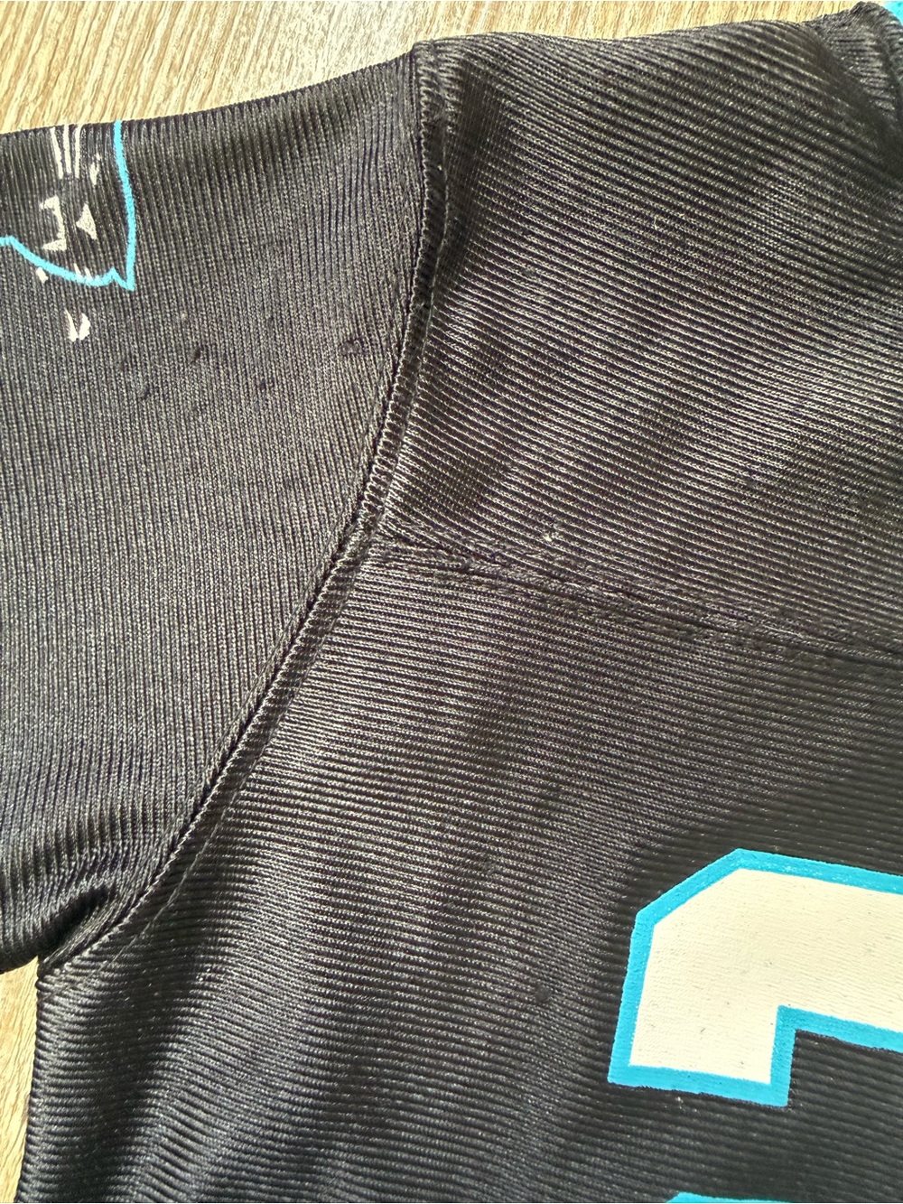 NFL Carolina Panthers Jonathan Stewart # 28 Football Jersey - Picture 5 of 5